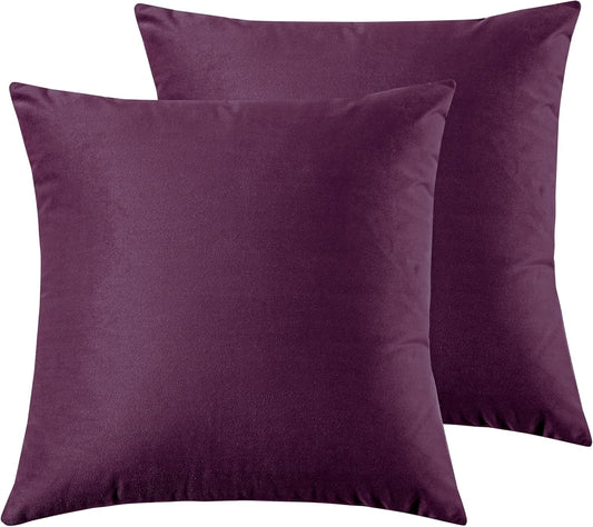 Twin-Pack Velvet Cushion Covers - Soft Microfibre Cushion Covers with Hidden Zipper (Plum, 65cm*65cm)