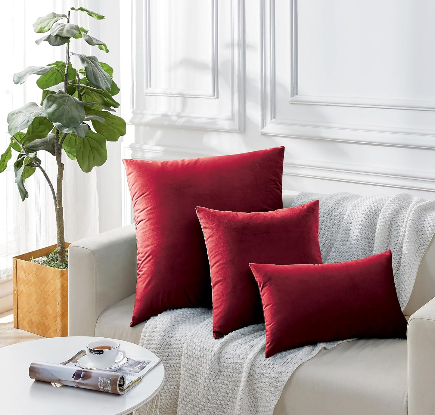 Twin-Pack Velvet Cushion Covers - Soft Microfibre Cushion Covers with Hidden Zipper (Red, 30cm*50cm)
