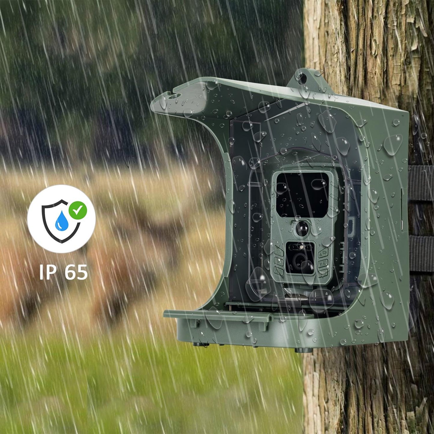 Outdoor Bird Watching Camera with Motion Sensor - Army Green Feeder