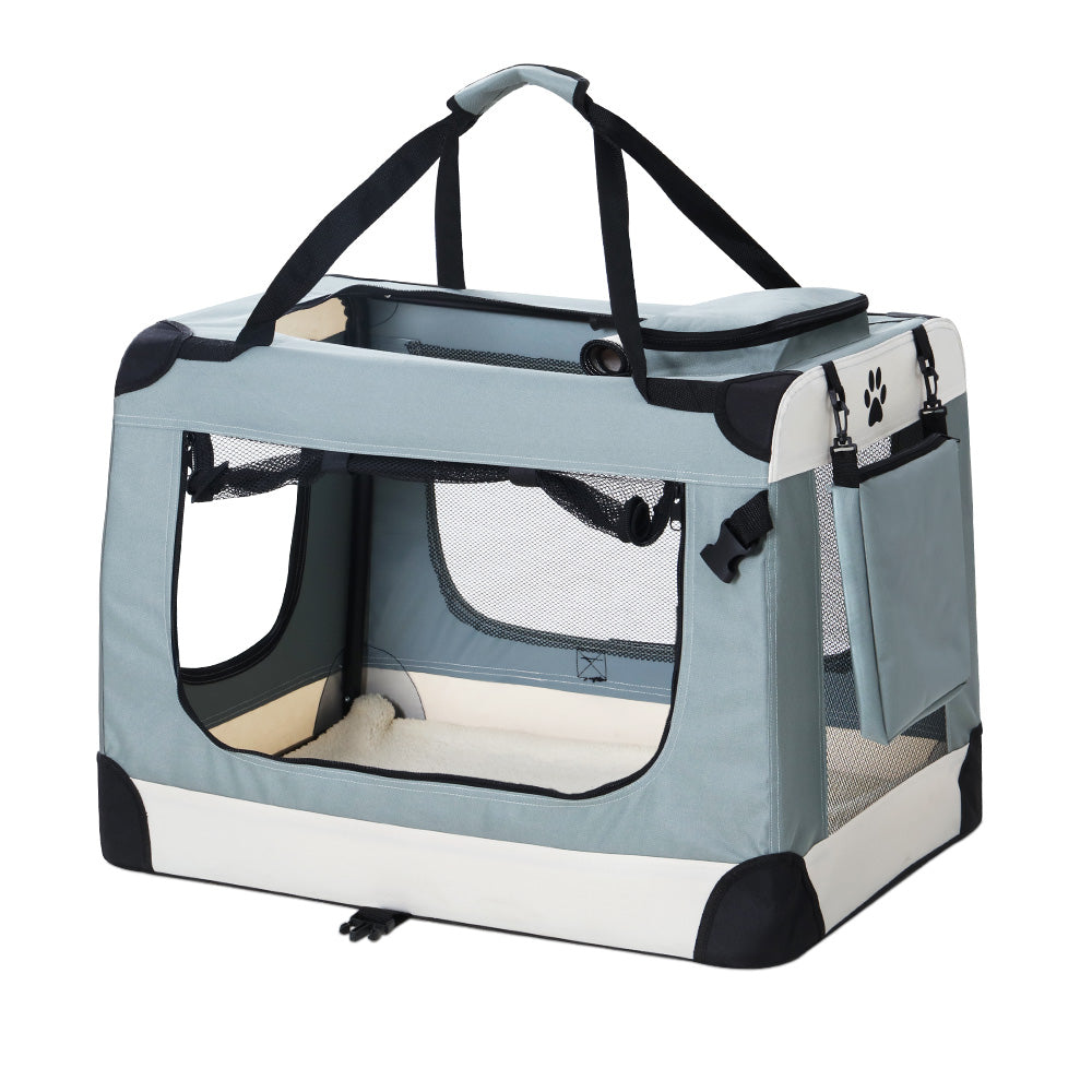 "Small dog inside a soft-sided pet carrier with mesh windows"