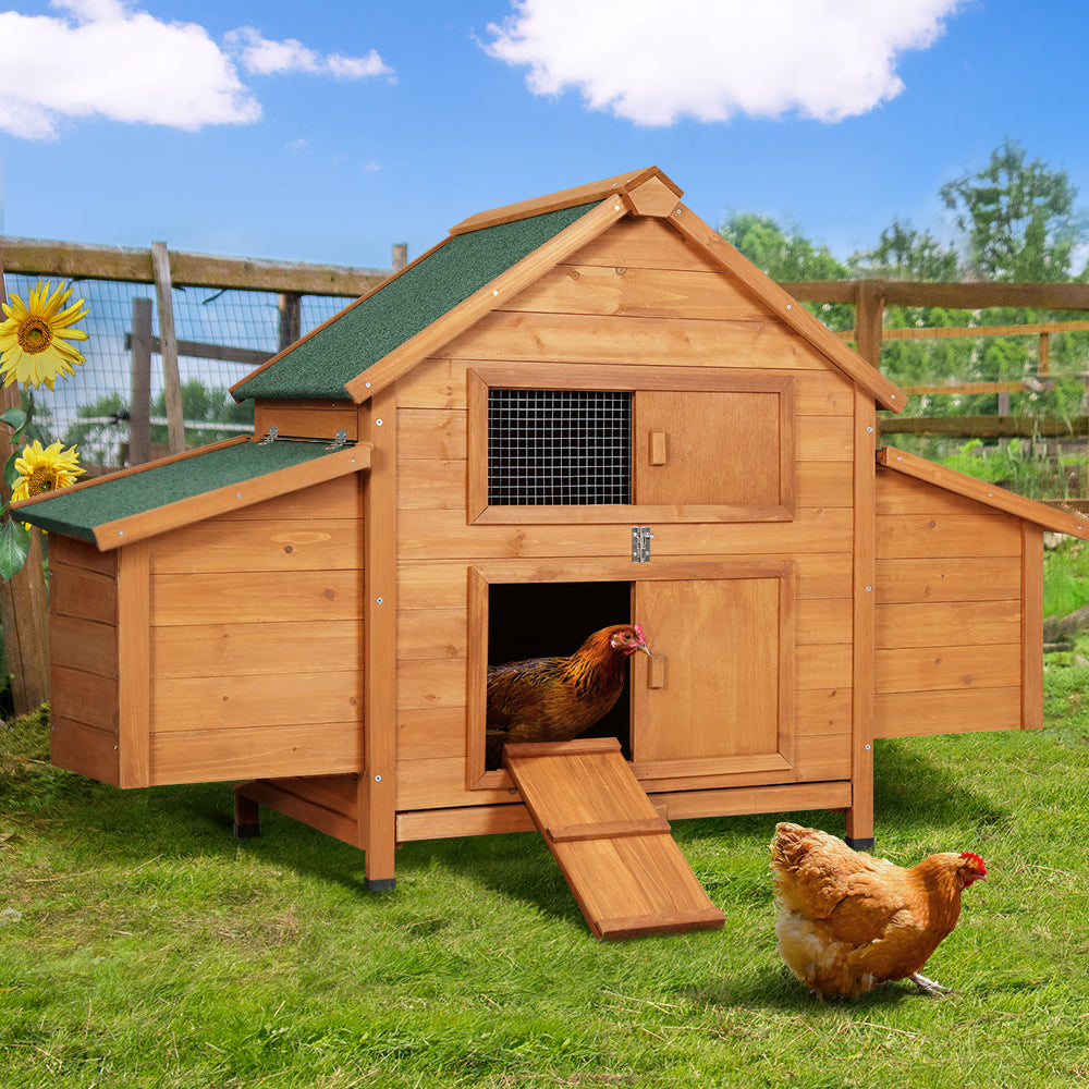 Animal coops and hutches for backyard pets.
