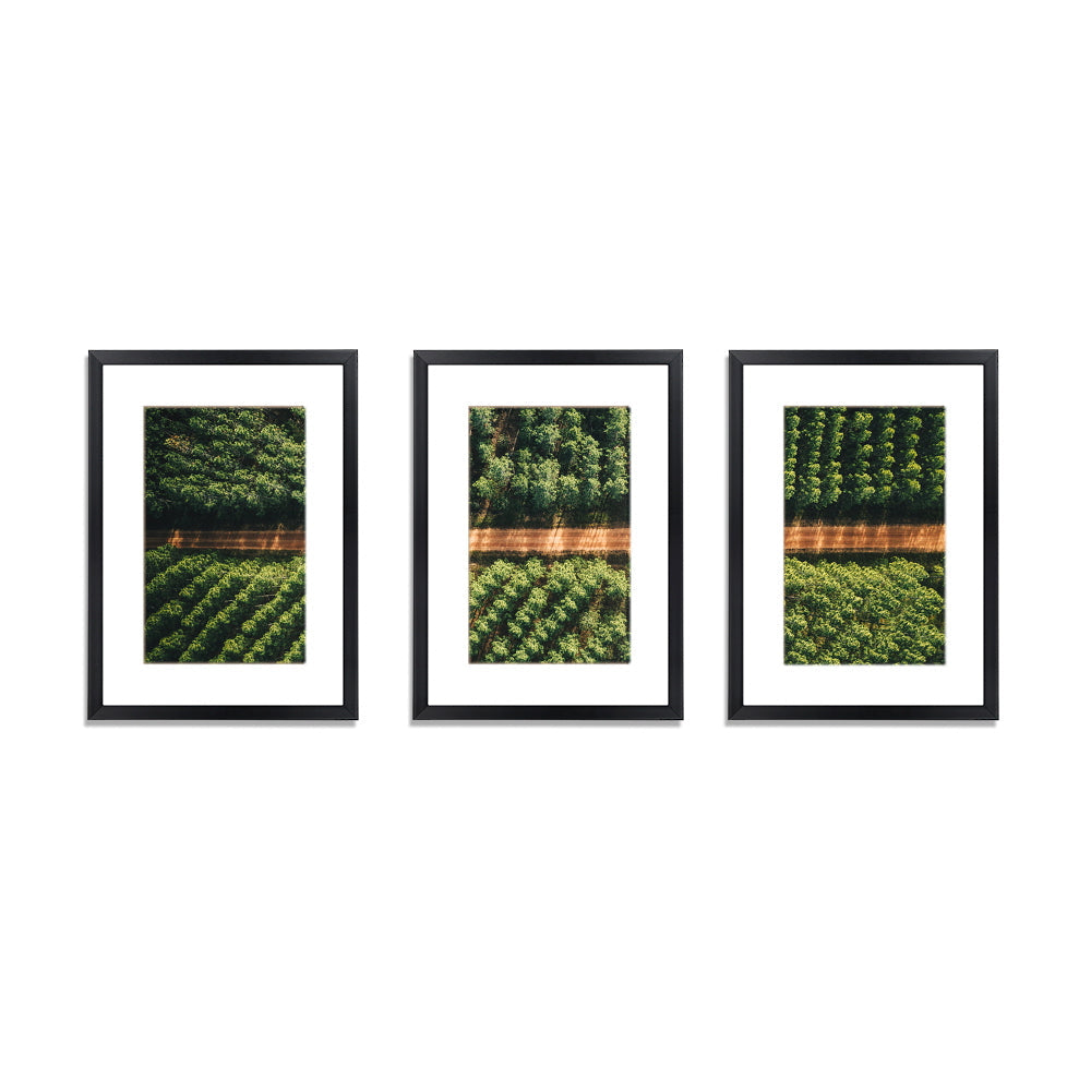 Photo frames for displaying pictures and memories.