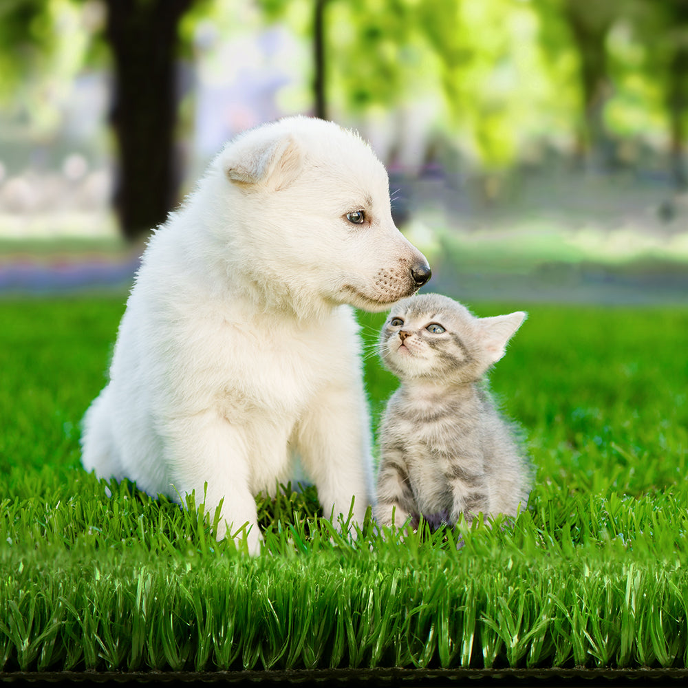 Prime Turf Artificial Grass 2mx5m 10mm Synthetic Fake Lawn Turf Plant Plastic Olive