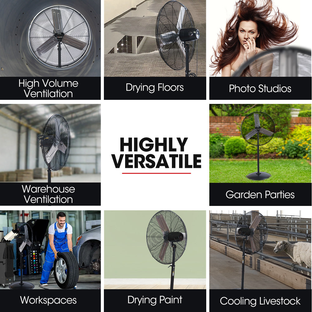 BAUMR-AG 30" 762mm 300W Industrial Pedestal Fan, Large, Commercial, Heavy-duty, 3 Speed, EESS Certified