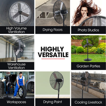 BAUMR-AG 30" 762mm 300W Industrial Pedestal Fan, Large, Commercial, Heavy-duty, 3 Speed, EESS Certified