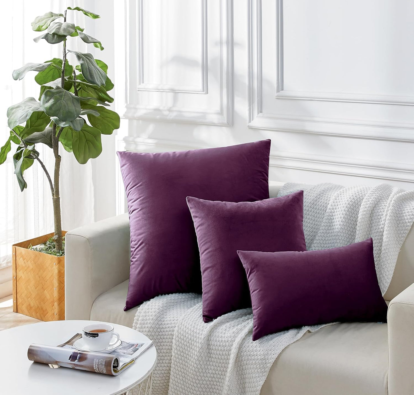 Twin-Pack Velvet Cushion Covers - Soft Microfibre Cushion Covers with Hidden Zipper (Plum, 65cm*65cm)