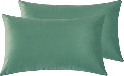 Twin-Pack Velvet Cushion Covers - Soft Microfibre Cushion Covers with Hidden Zipper (Sage, 30cm*50cm)