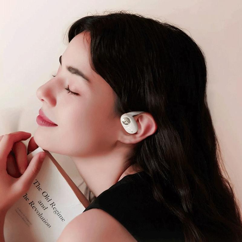 Wireless Dual-mic Bluetooth Earphones with Noise Reduction and Led Display - Black