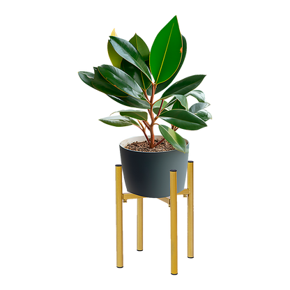 Metal Plant Stand Adjustable Indoor