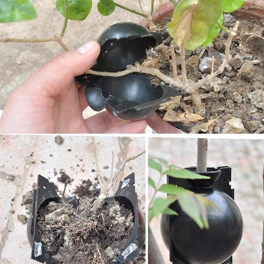 5-Pack Black Reusable Plant Air Layering Propagation Pod (Diameter: 5cm) - Anti-Waterlogging Grafting Root Ball Rooting Device for Flower & Fruit Trees