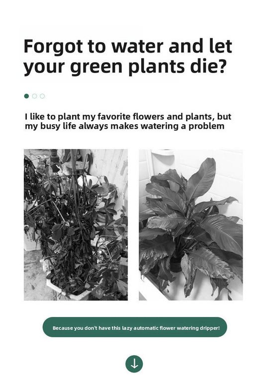 2 PCS Automatic Self-Watering Plant Spikes Adjustable Drip Irrigation System for Indoor Outdoor Garden Pots Holiday Care Green and White